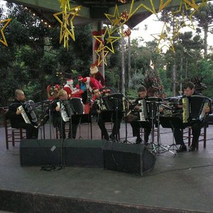 Quinteto Persch 的头像