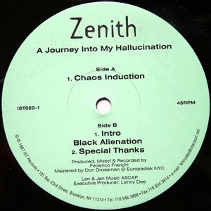 A Journey Into My Hallucination