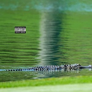 Alligator