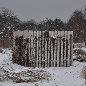 Between Fence Posts