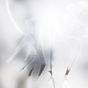 DJ Semitone 的头像