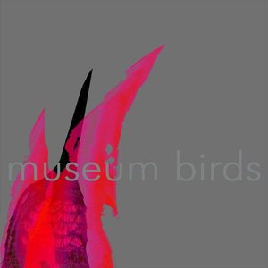 museum birds
