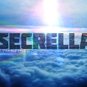 SecRellA 的头像