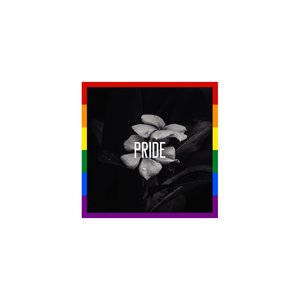 Pride (Instrumental Version)