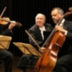 Radio Symphony Orchestra Ljubljana, chef Anton Nanut 的头像