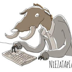 Awatar dla Niezatapialni.pl