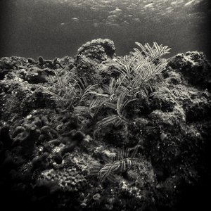 Penghu Experimental Sound Studio Vol.3
