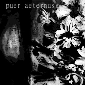 Puer Aeternus 的头像