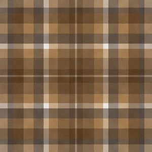 Brown Plaid