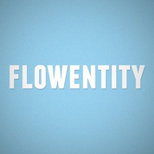 “FlowEntity”的封面