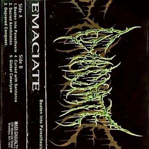 BEATEN INTO PARESTHESIA