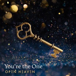 You're The One (Live)