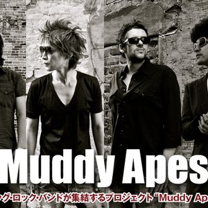 Muddy Apes 的头像