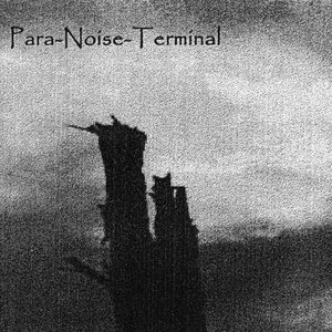 para-noise-terminal için avatar