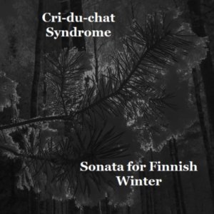 Sonata for Finnish Winter