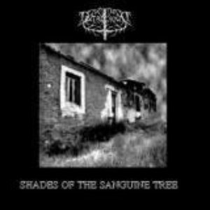 Shades Of The Sanguine Tree