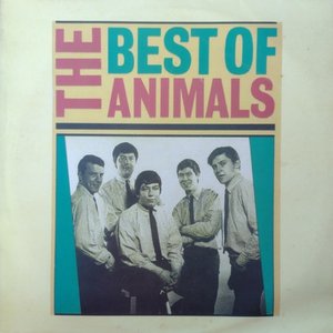 The Best Of Animals