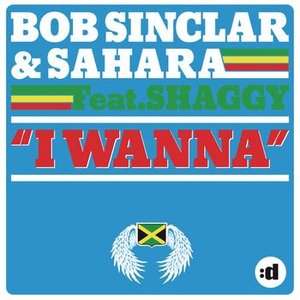 I Wanna (feat. Shaggy)