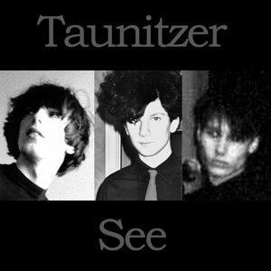 Bild för 'Taunitzer See'