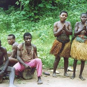 Image for 'The Aka Pygmies of Central African Republic'