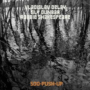 500-PUSH-UP