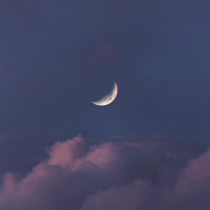 Moonlight/Devotion