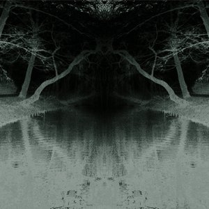 Nyctophilia