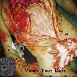 Vomit Your Guts