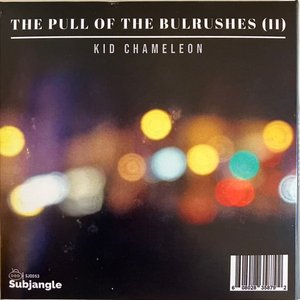 The Pull of The Bulrushes (II)