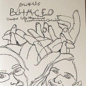 Bristol Hills Music Camp Experimental Orchestra / Dufus 的头像
