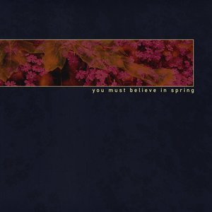YOU MUST BELIEVE IN SPRING