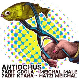 Yadit Gdola - Meichal Male, Yadit Ktana - Hatzi Meichal