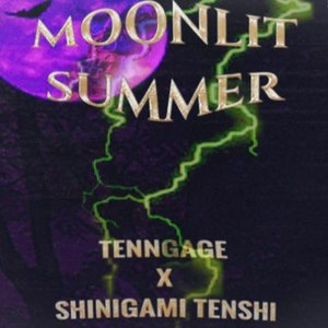 Moonlit Summer