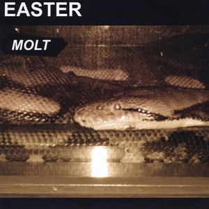 Molt