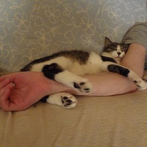 Avatar för Sean Colum