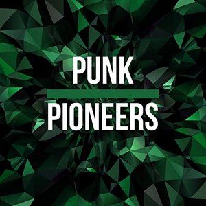 Punk Pioneers