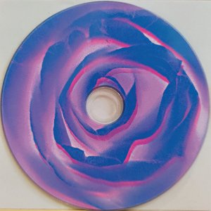 A Cast of Flowers