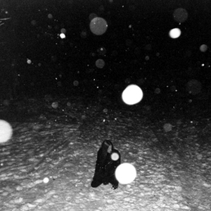 Dolorian photo provided by Last.fm