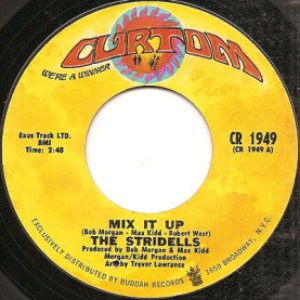 The Stridells 的头像