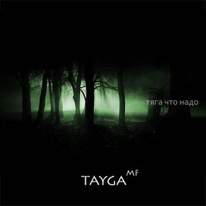 Tayga MF 的头像