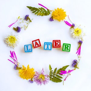 Later - Single