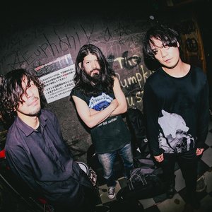 Lightning Swells Forever 的头像