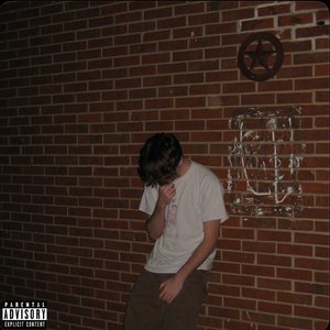 Lettuce - Single