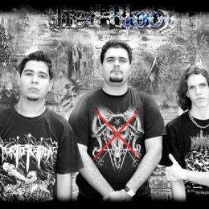 Shed Blood 的头像