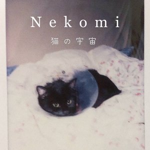 猫の宇宙