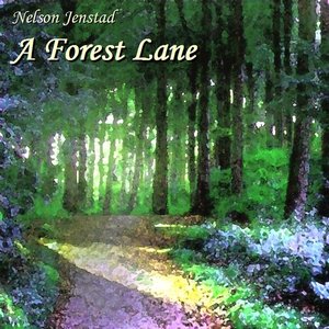 A Forest Lane