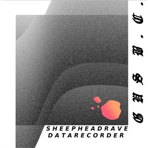 sheep head rave data recorder