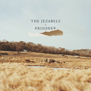 Prisoner (Ten Year Anniversary Edition)