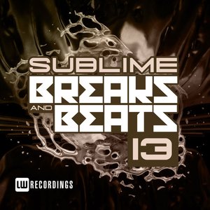 Sublime Breaks & Beats, Vol. 13