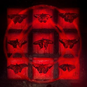NECROPHORESIS